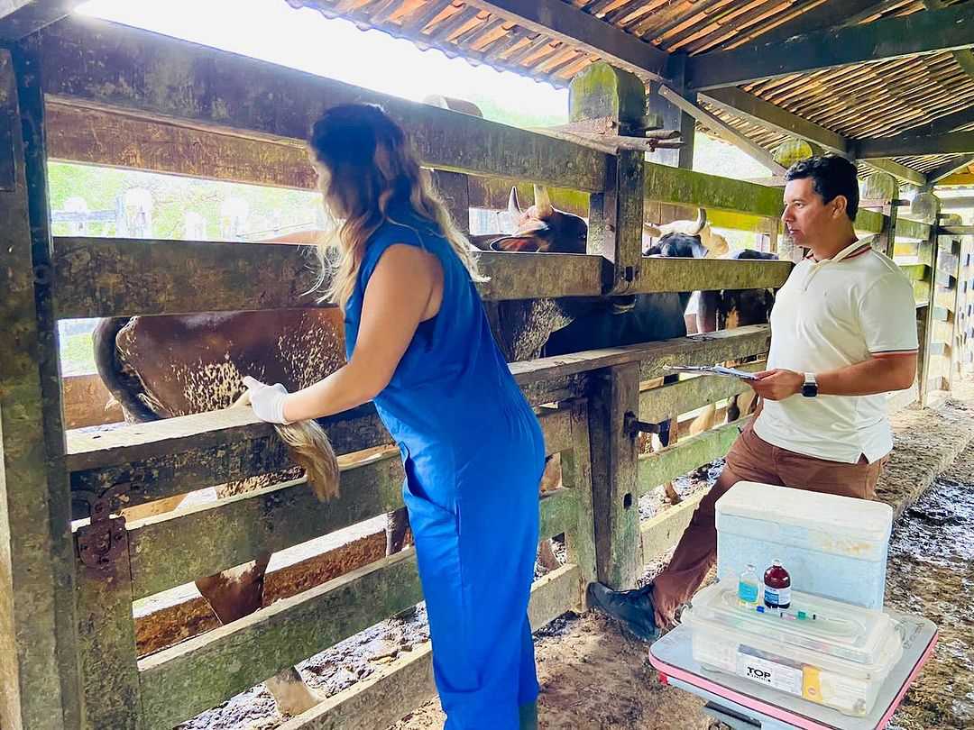 Camacã: Programa Mais Pecuária Brasil atende mais pecuaristas